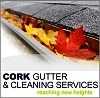 Cork Gutter & Cleaning Service