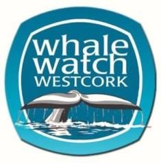 Whale Watch West Cork 1