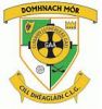 Donaghmore Ashbourne CLG 1