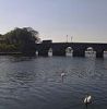 River Shannon 1