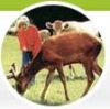 Glendeer Pet Farm
