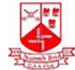 St Brigids GAA 1