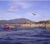 Sea Kayaking West Cork