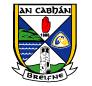 Cavan County Board GAA 1