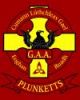 St Oliver Plunkett's Eoghan Ruadh G.A.A. Club