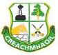 Craughwell Hurling Club