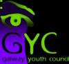 Galway Youth Council 1