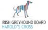 Harold's Cross Greyhound Stadium 1