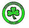 Ballyhale Shamrocks GAA Club 1