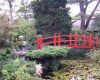 Japanese Gardens 1