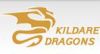 Kildare Dragons Rugby League Club