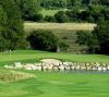Dunmurry Springs Golf Club 1