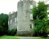 Leixlip Castle