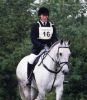 Cloncaw Equestrian