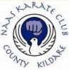 Naas Karate Club 1