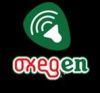 Oxegen Festival 1