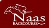 Naas Racecourse 1