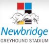 Newbridge Greyhound Stadium 1