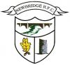 Newbridge Rugby Football Club 1