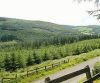 Slieve Bloom Mountains