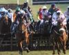 Roscommon Races 1