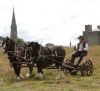 Scurlogstown Olympiad Haymaking Festival 1