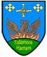 Tullamore Harriers Sports Club 1