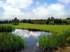 Castleisland Golf Course 1