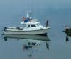 Donegal Sea Fishing