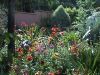 Aultaghreagh Cottage Garden