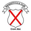 Maynooth GAA Club 1