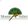 Mount Juliet Resort 1