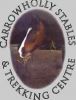 Carrowholly Stables & Trekking Centre